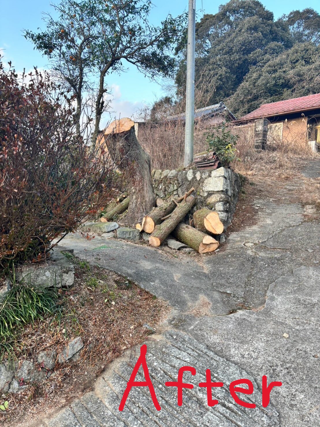 ある日のお仕事。