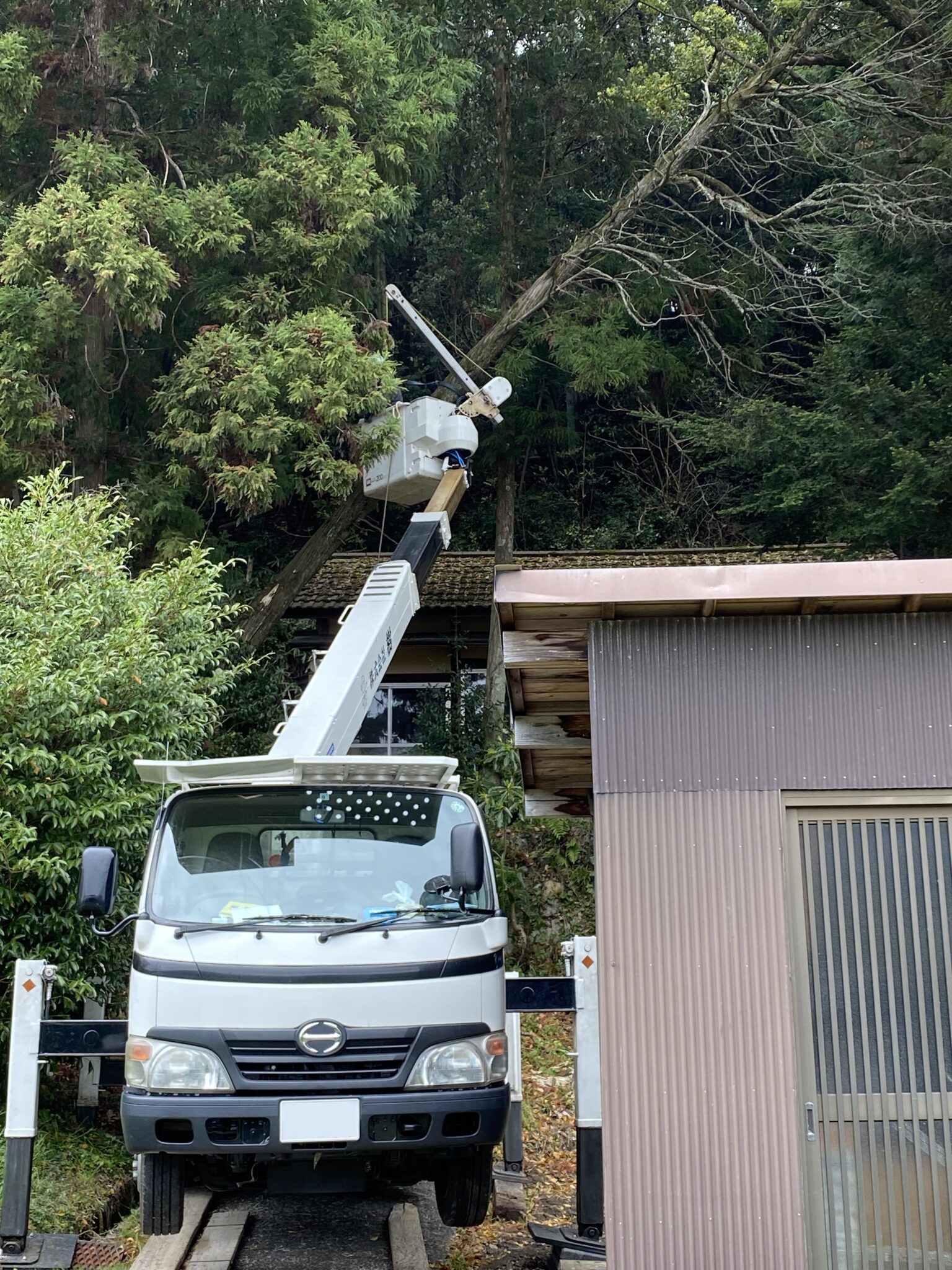 山口市徳地地区 集会所の倒木伐採